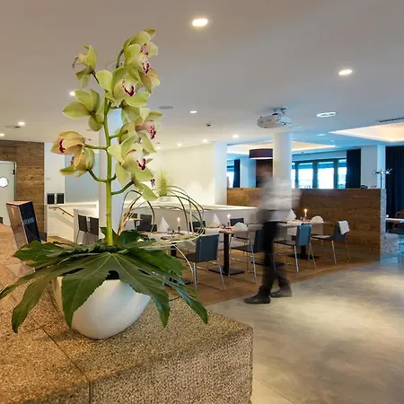 Hotel Bayer 89 Vi Vadi 3*