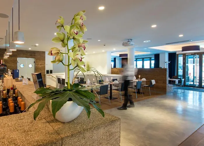 酒店 Bayer 89 Vi Vadi 3*